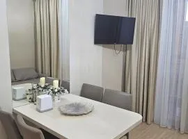 Spacious apartment by the sea