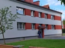 Pas Dianą