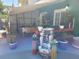 Alex Home 2