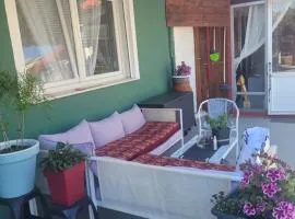 Alex Home 1