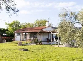 Theros, garden and sea