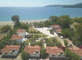 Mikro Xorio