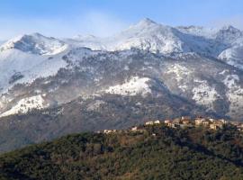 Casa Bonino, gostišče v mestu Prunelli-di-Fiumorbo