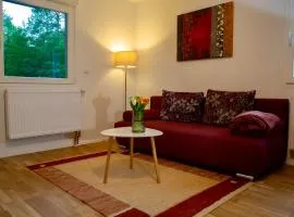 Erholung an den Wasserfällen - Ferienwohnung in Baden-Baden - Stilvolles Apartment mit Terrasse, Parkplatz & ruhiger Lage