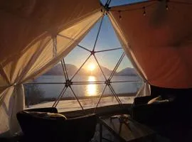Lyngenfjord View
