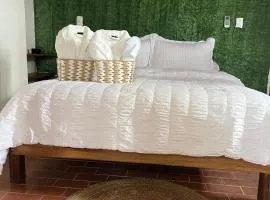 Botanic Garden Suite, with views of the nylon pool