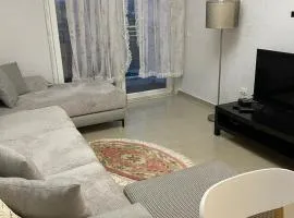 Pelinku Apartment