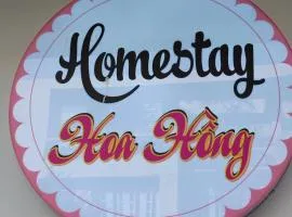 Homestay Hoa Hồng