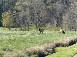 Cozy Bear Cabin-Stunning Mountain View, Dogs welcome with Pet Rate
