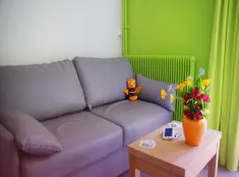 Apartment in Amboise near Royal Château