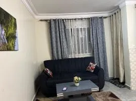 Rokans Nest Lovely Condo 1bedroom Kira, Kampala