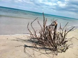 Tempesta Home Salento