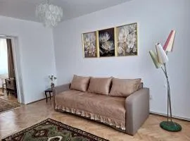 Panoramic Apartment