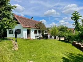 Ferienhaus Kellerstöckl Dorrer Riegersburg mit Schwimmteich