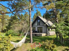 Elimaa-Lepiku, chalet i H&otilde;besalu
