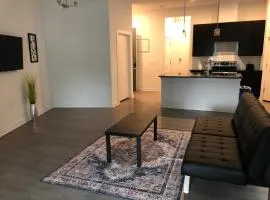 Stylish Apartment in Austin