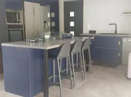 CAMELIA Villa contemporaine et son jardin arboré