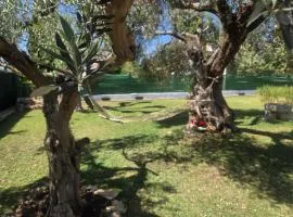 La Caseta