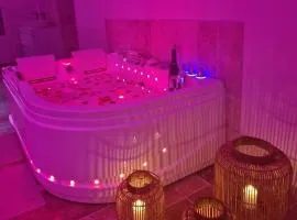 L'audacieuse-Jacuzzi et sauna , miroir suspendu