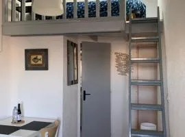 Petit studio du Palais