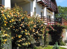 Vila Carpatina, hotel con campo de golf en Breaza