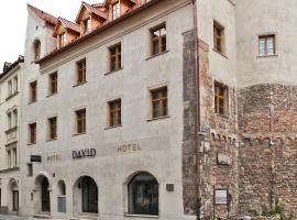 Hotel David an der Donau, hotel in Old Town, Regensburg