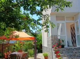Vila Prahoveană