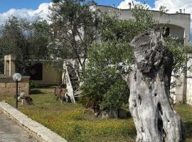 B&B Sant'Antonio, hotel a Collepasso