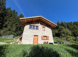 Mountain Chalet Splazoi, Hotel in Stremben