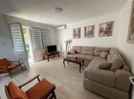 Apartment Mijuskovic