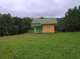 Casa das Palmeiras
