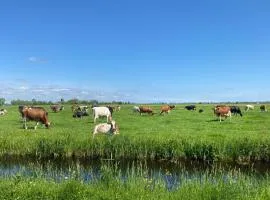 Geniet van de rust en de ruimte