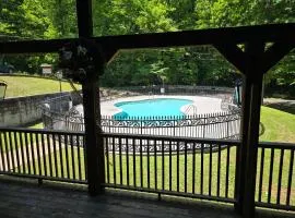 Bear View