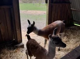 Billund Farm Holiday、ビルンのコテージ