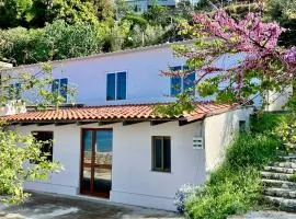 Villa Kate