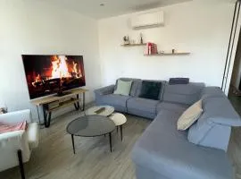 Bel appartement lumineux au cœur de Bayonne