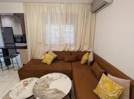 Stylish Apart Near City Center
