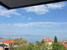 ΖΟΕ's