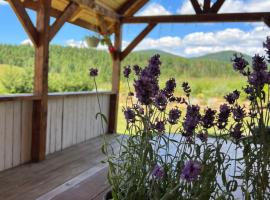 Омріяні Карпати, hotell sihtkohas Smozhe