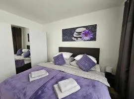 Dům se dvěma byty, zahrada, WiFi, Netflix a parkování zdarma, klidná část Hradce Králové