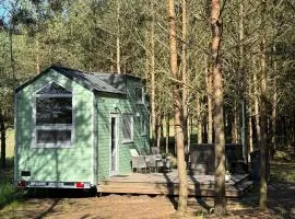 Tiny house in the forest