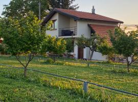 s t d -PARADISO-, villa in Vranje