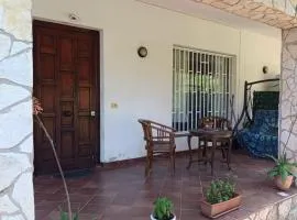 House in Garden