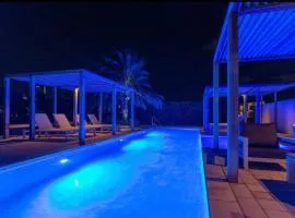 Exclusive NEW luxury townhouse with pool in PALM BEACH