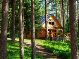 The Cabin in the Woods