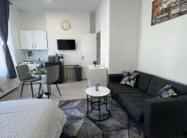 Spacious studio 10 mins to Metro 1 min to the bus