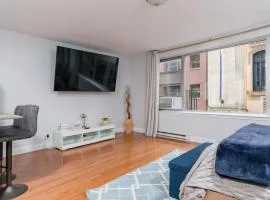 Downtown Boston Studio Central Location Famous Nightlife Chinatown with Bed Full of Promises!
