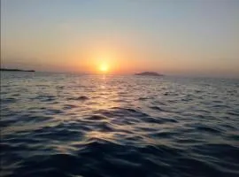 دارنا