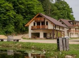 Ribnik Stari trg