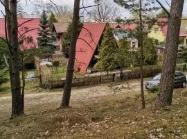 Pod Świerkami